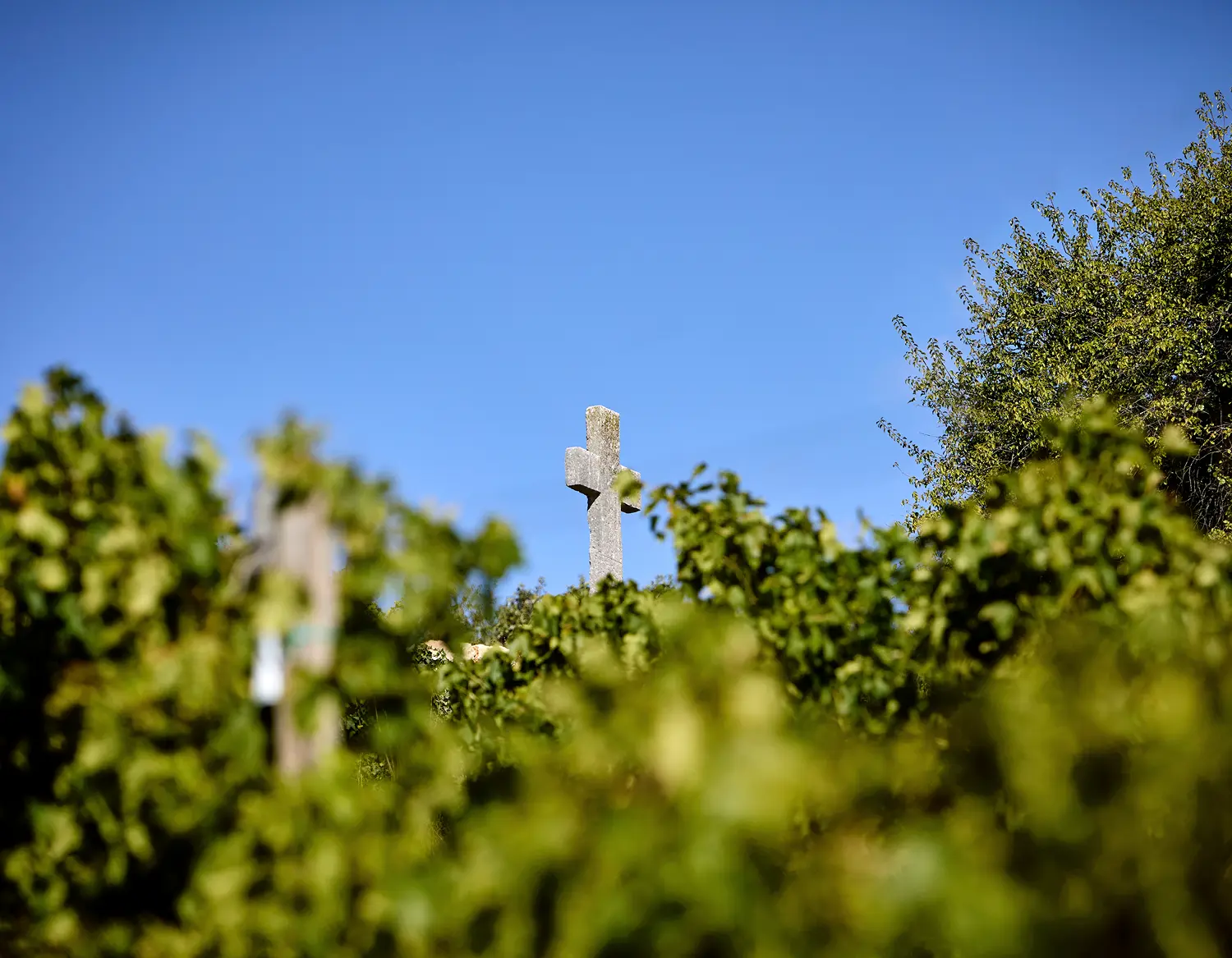 croce di roccia in mezzo al vigneto