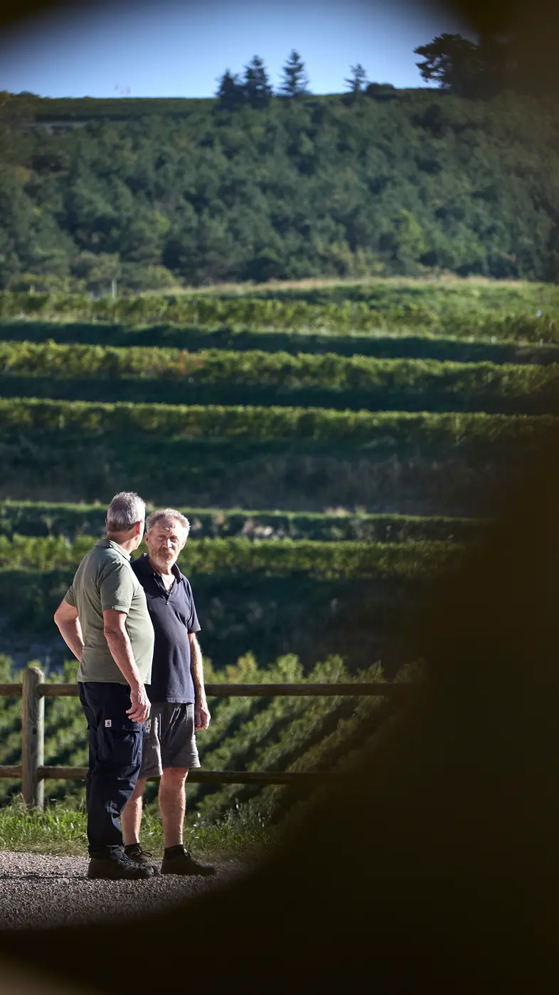 persona che parlano con sfondo le colline