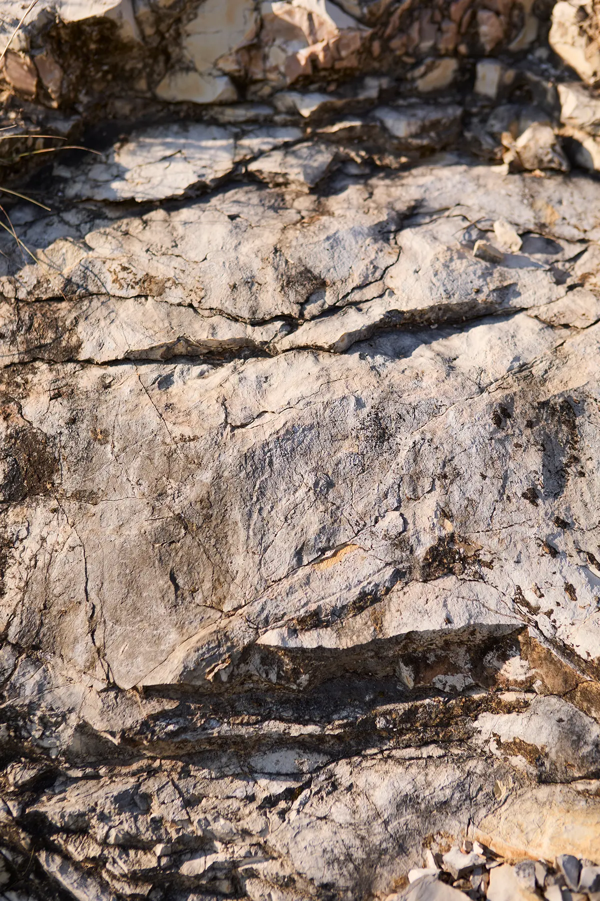 dettaglio della roccia e terra