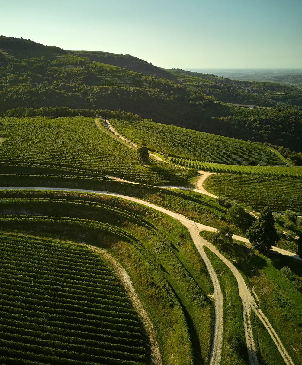 foto dall'alto della tenuta maternigo