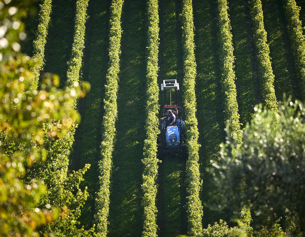 dettaglio del trattore circondato dal vigneto
