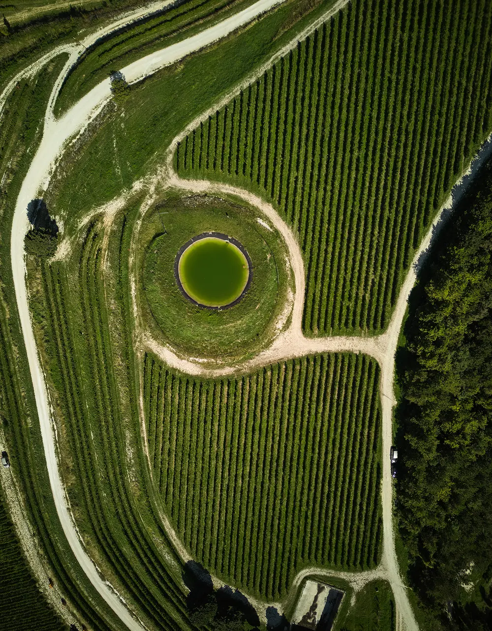 foto del lago nella tenuta tedeschi