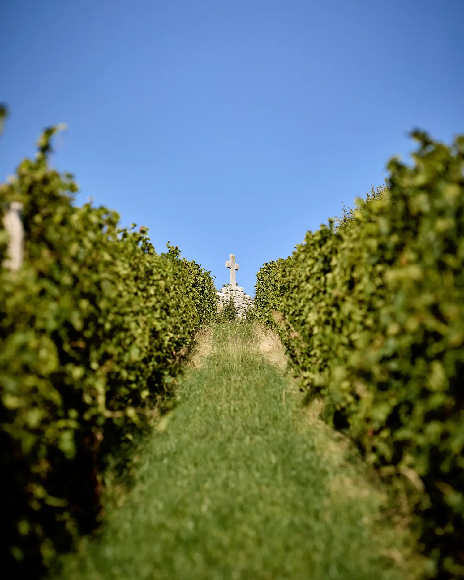 croce di roccia nel vigneto fabriseria