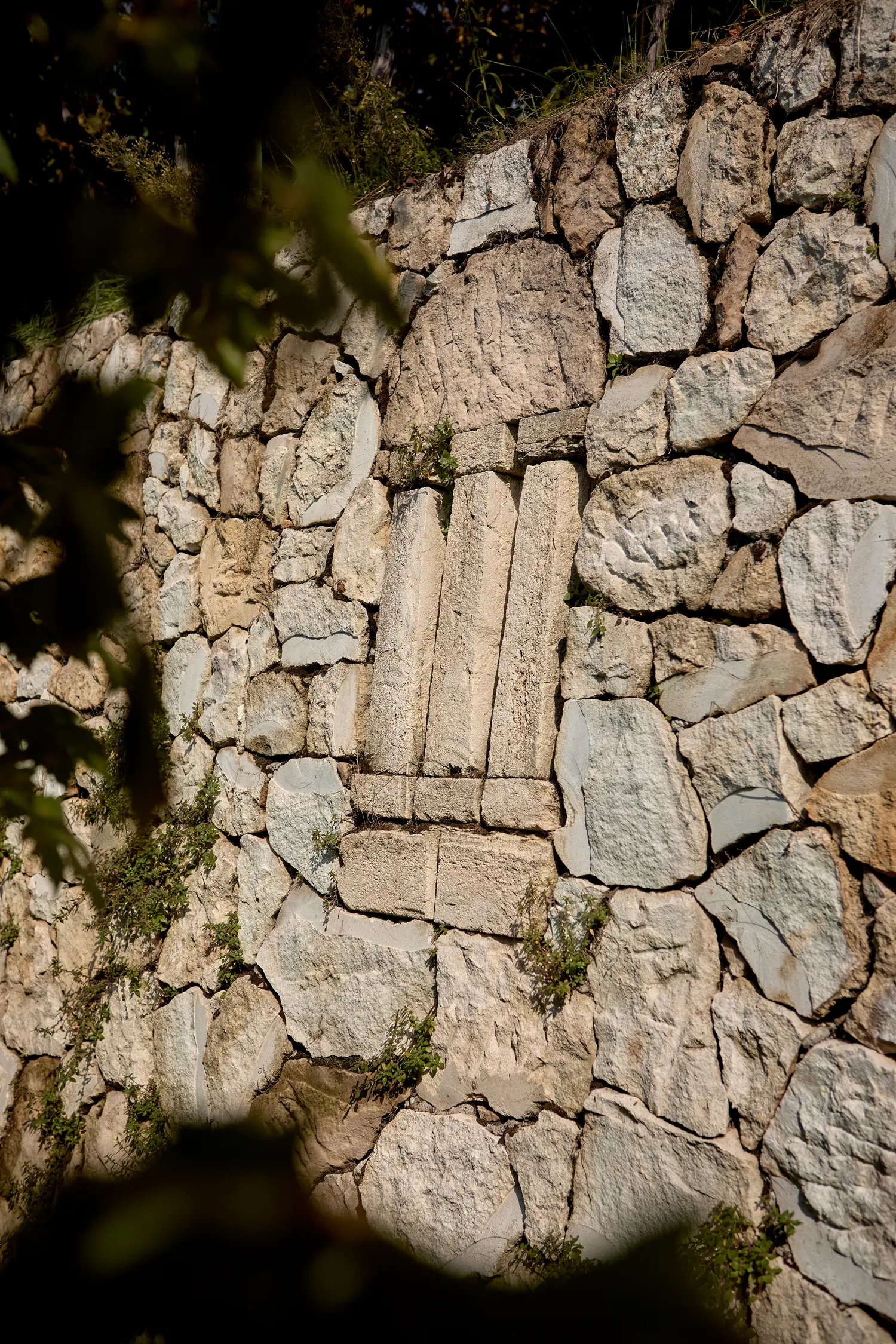 logo tedeschi nella roccia