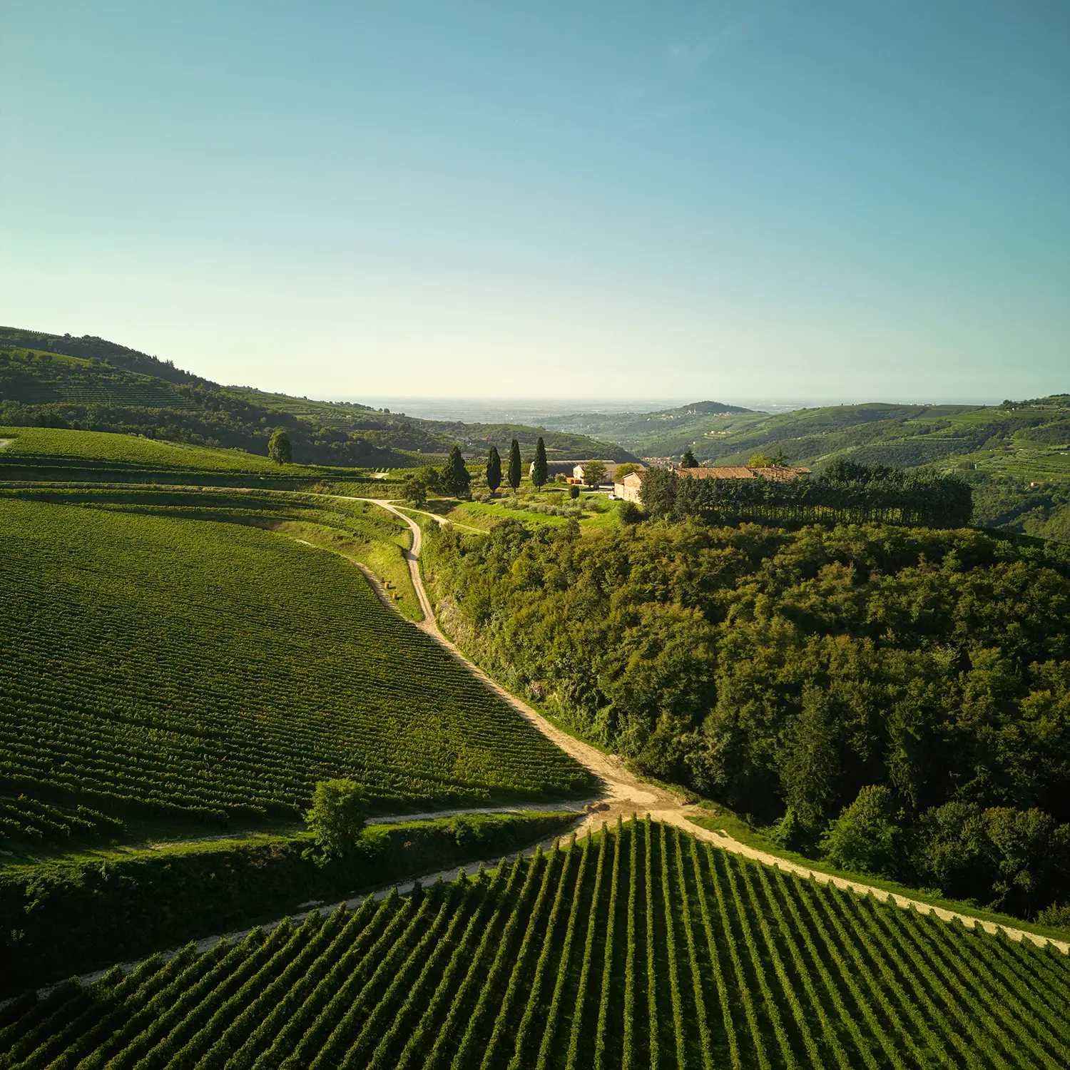 foto delle colline con casa della tenuta tedeschi
