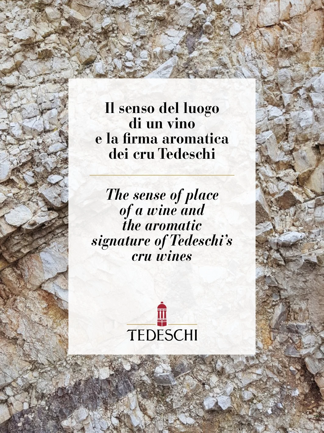TEDESCHI-LIBRO_COVER_page-0001