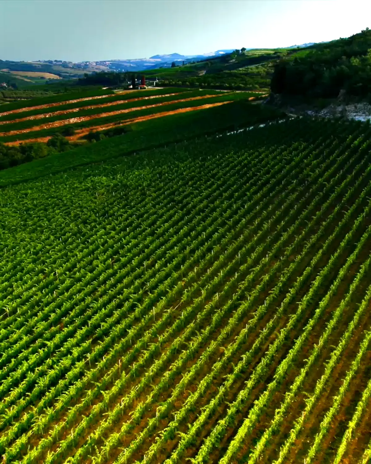 tour della tenuta maternigo