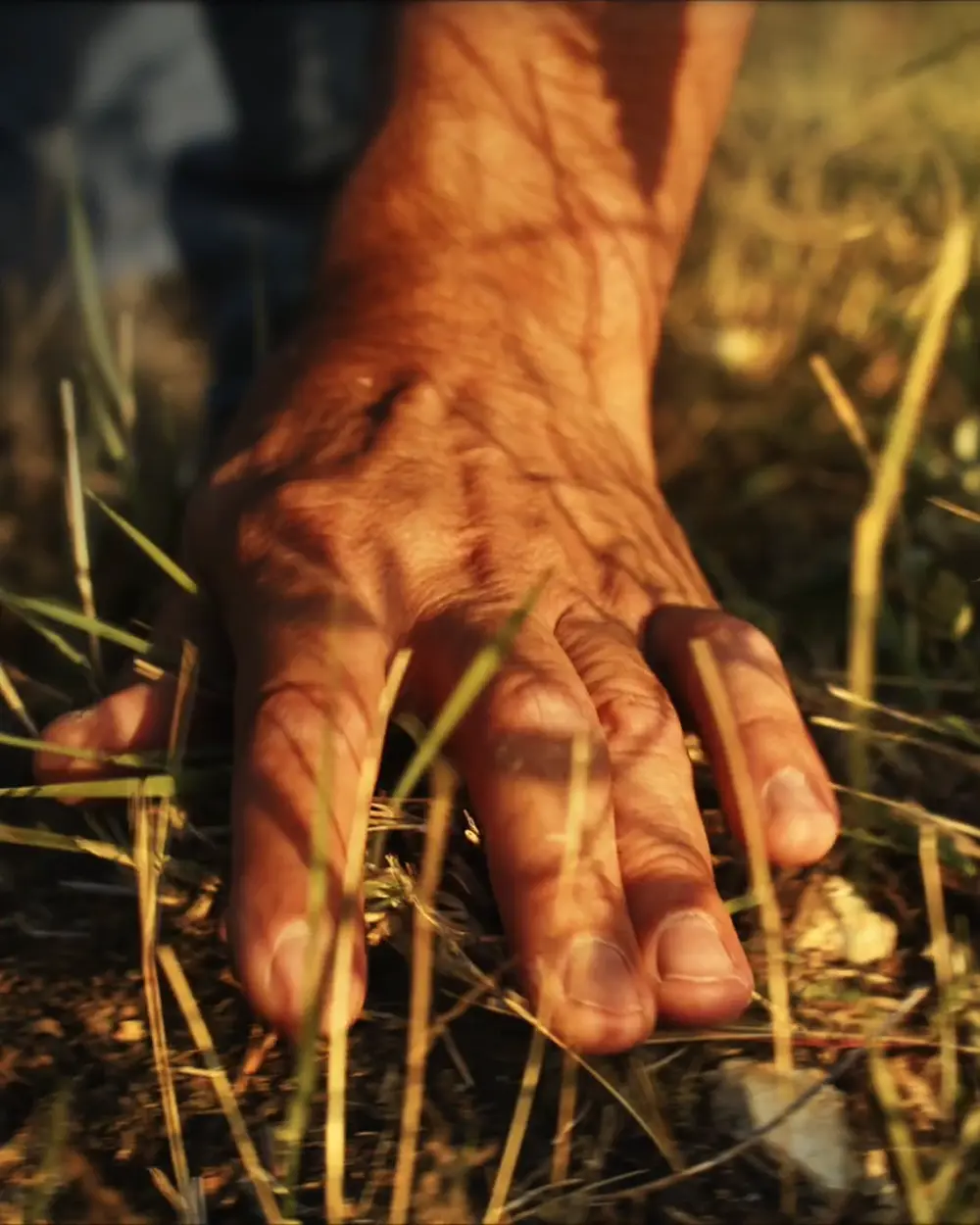 mano che tocca il terreno