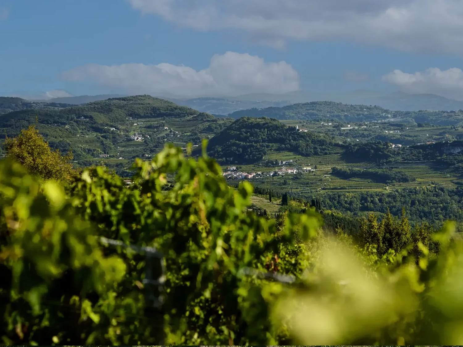 foto dell'orizzonte delle colline del valpolicella Fabriseria